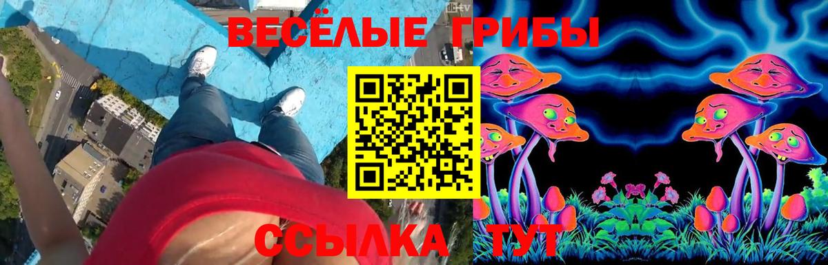 Галлюциногенные грибы прущие грибы Учалы